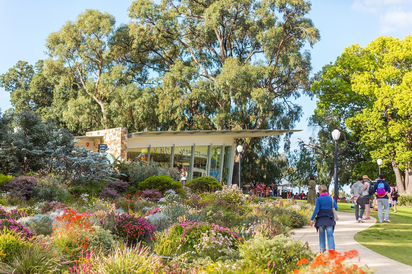 Kings Park and Botanic Garden